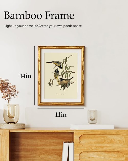 HUARCEY Antique Bird Botanical Wall Art - Classic Gold Framed Canvas Illustration 11x14