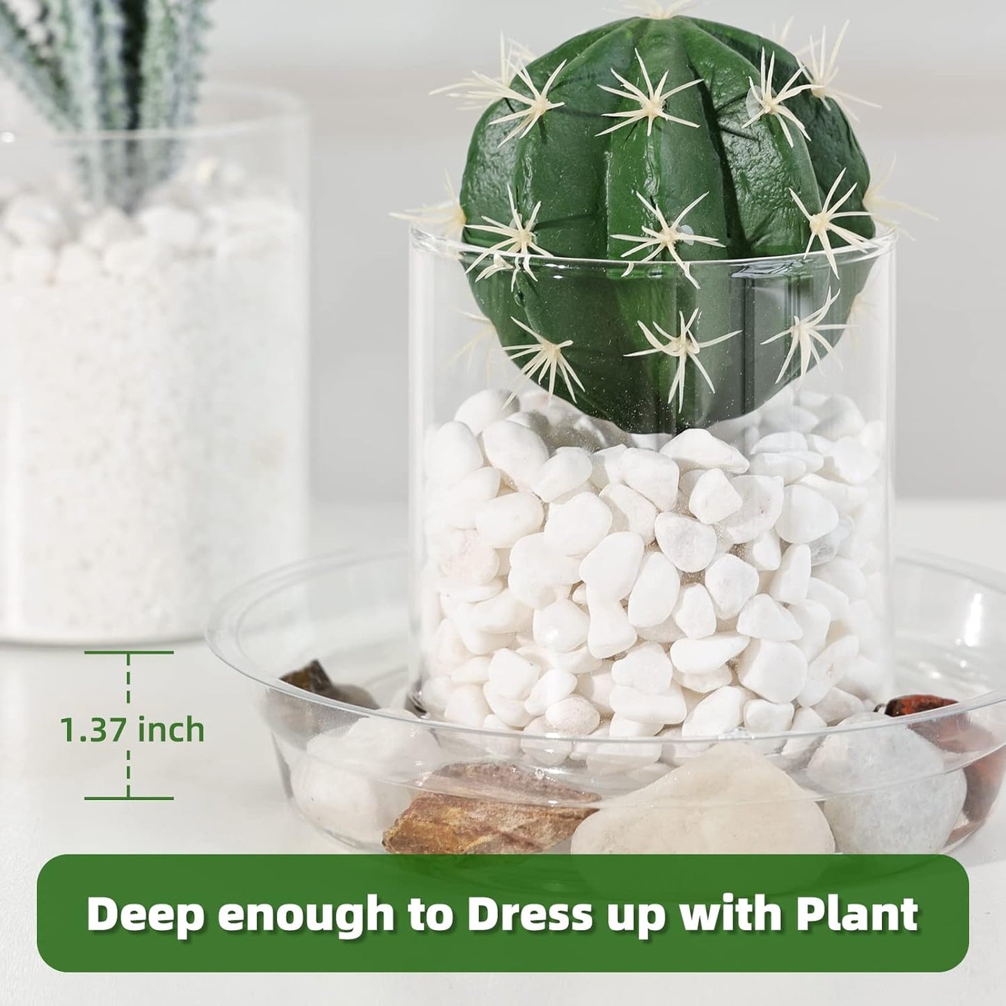 TRUEDAYS Plant Saucers - 20 Pack Clear Flower Pot Trays for Indoor & Outdoor Use | 6-12 Inch Sizes