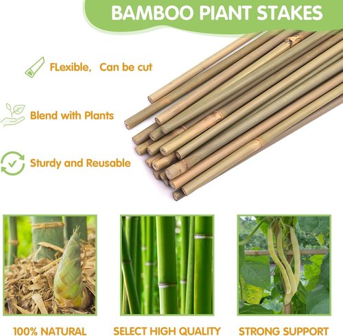 GAGINANG Bamboo Garden Stakes - 3FT Sturdy Natural Support for Climbing Plants | 25 Pcs Set