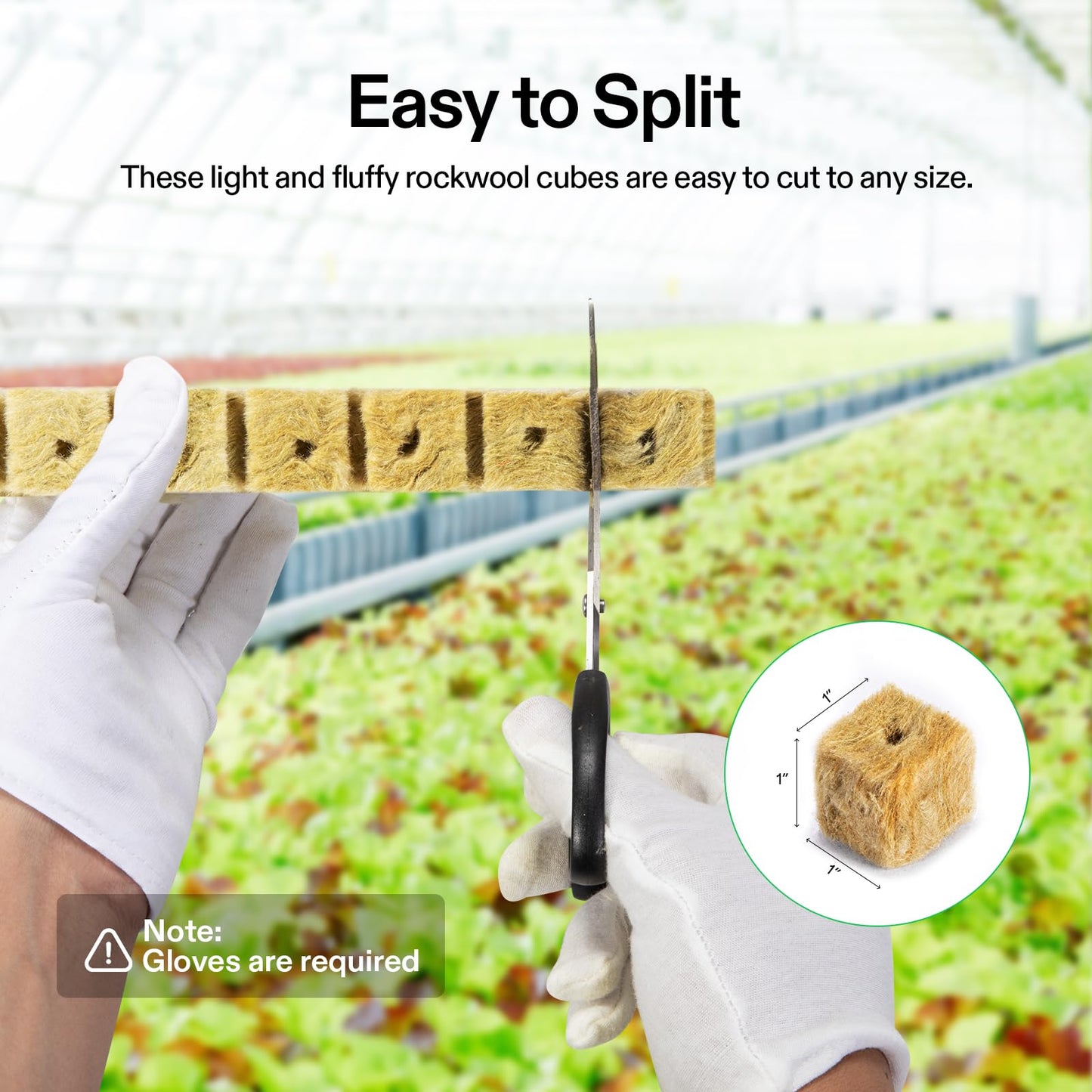 VIVOSUN 1" Rockwool Cubes, 200 Plugs Stonewool Starter Grow Cubes for Cuttings, Cloning, Plant Propagation, Seed Starting, Hydroponic Grow Media for Vigorous Plant Growth