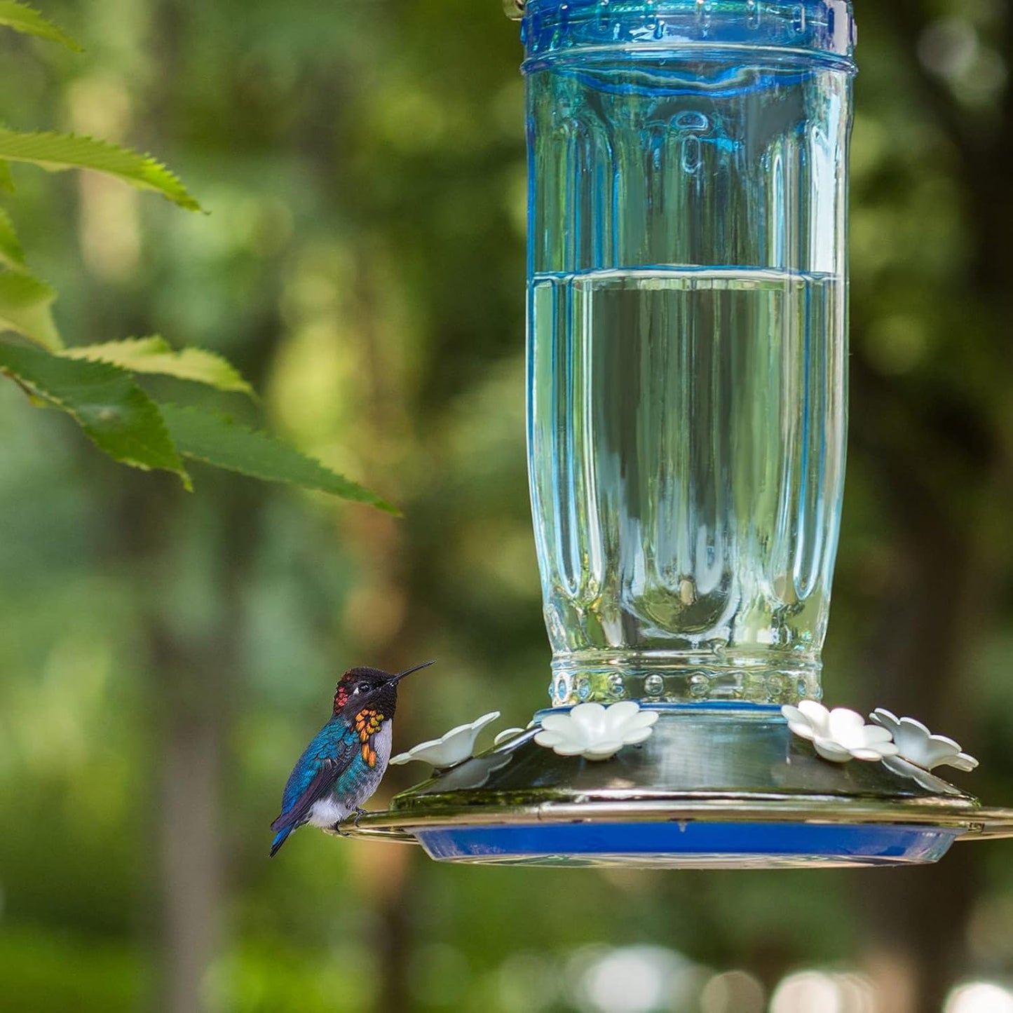 Kingsyard Glass Hummingbird Feeder - 6 Feeding Ports for Outdoor Gardens | Blue with Ant Moat Included