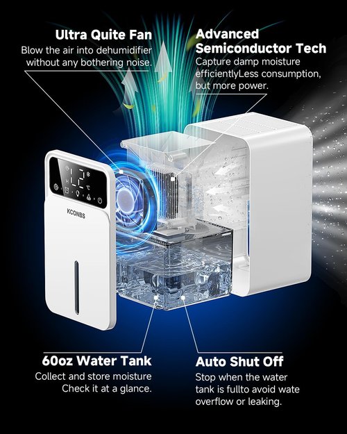 Dehumidifier - Regine Switzerland 60 OZ Capacity | Auto Shut-Off for Medium Rooms Up to 500 Sq.Ft, Quiet & Portable