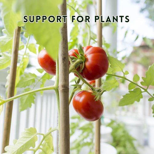 Bamboo Garden Stakes by [Brand Name] - 18-Inch Natural Plant Support with Twist Ties | 32 Pcs for Tomatoes & Climbing Plants