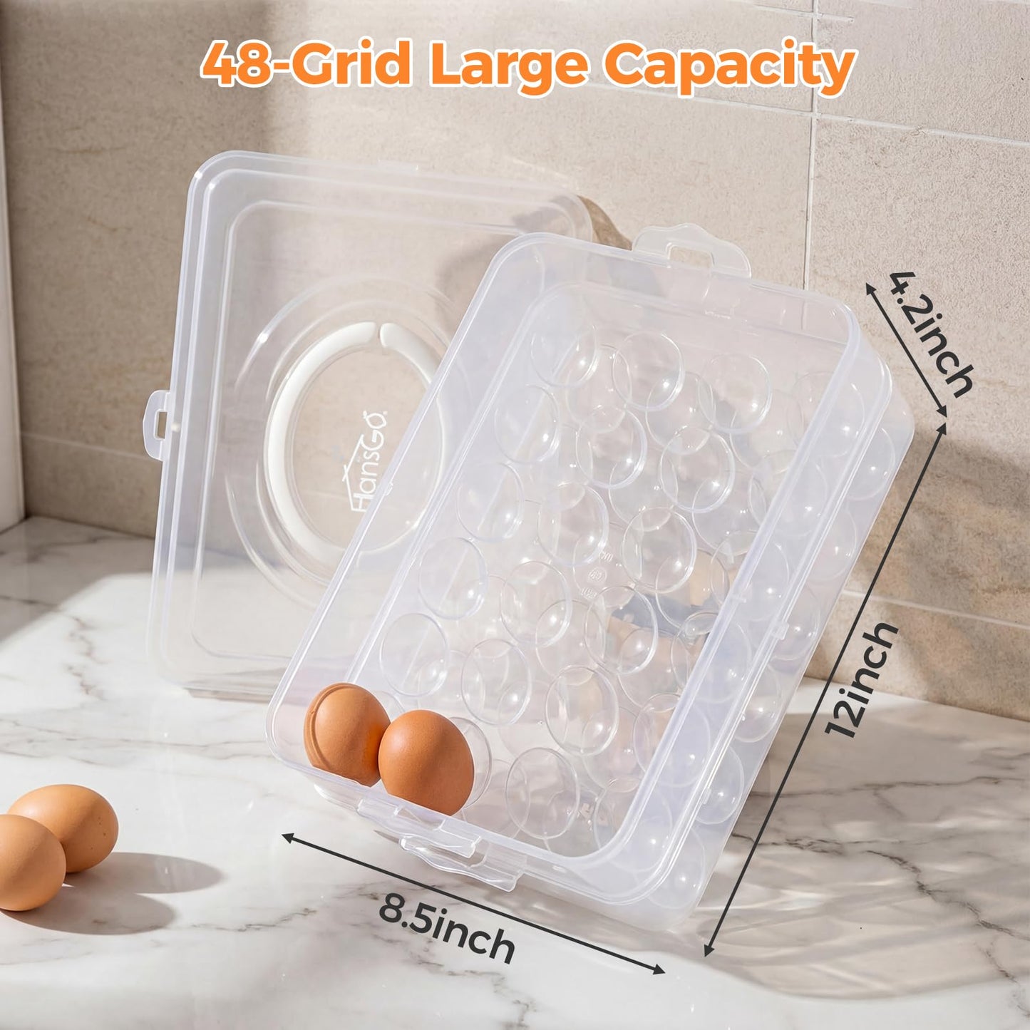 HANSGO 2 Pack Deviled Egg Containers with Lid, Portable Devil Egg Holder for 48 Eggs Clear Deviled Egg Carrier Tray for Home Party Kitchen Fridge Organizer