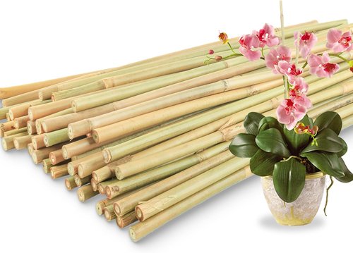 Bamboo Plant Stakes - 50 Pcs 18-Inch Support Sticks for Indoor/Outdoor Plants | Ideal for Tomatoes, Vegetables, and Climbing Plants