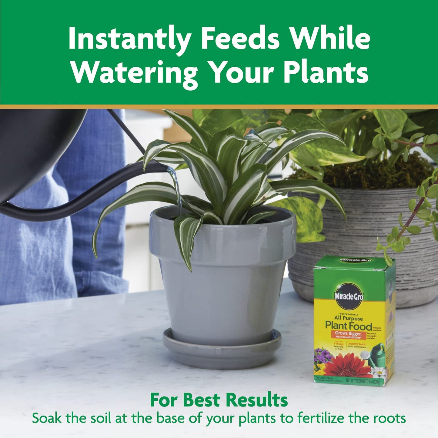 Miracle-Gro All-Purpose Plant Food - Water Soluble Fertilizer for Indoor/Outdoor Plants, 8 oz.