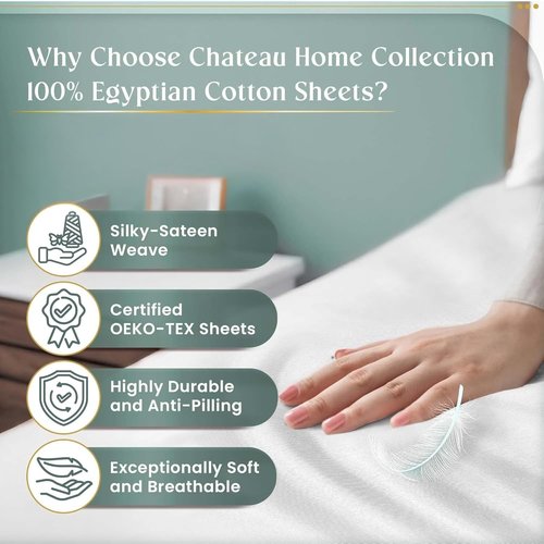 800 Thread Count Queen Sheet Set | 100% Egyptian Cotton - Ultra-Soft White Sheets with Deep Pockets
