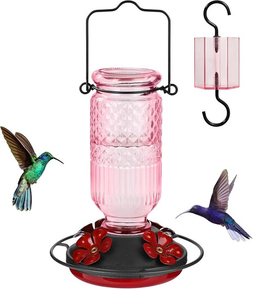 Feed Garden Glass Hummingbird Feeder - 16oz Capacity, Ant Moat & Bee-Proof Ports, Easy to Clean, Pink