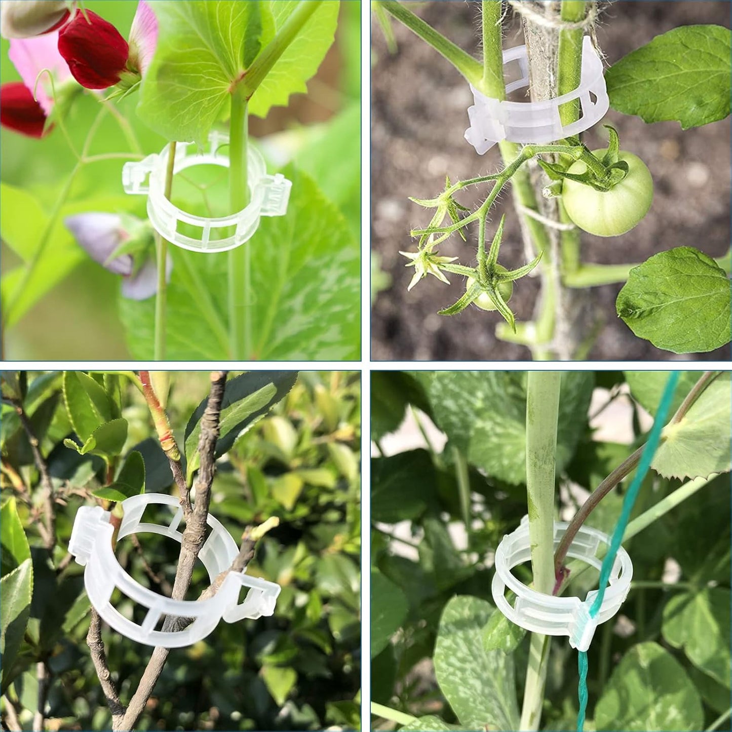Skiennix 120 Pack Tomato Clips - Durable Plant Support Clips for Vertical Gardening | Ideal for Cucumbers, Orchids, and Vegetables