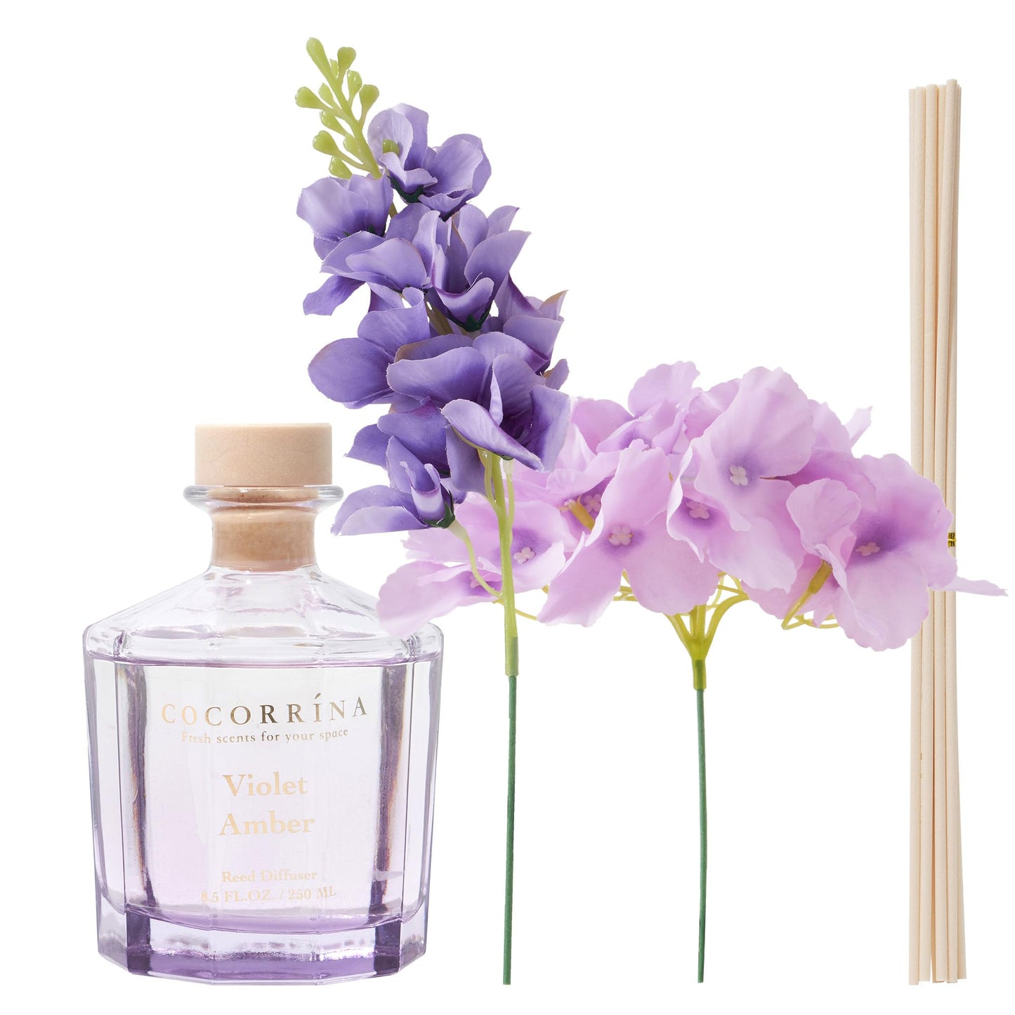 COCORRÍNA Reed Diffuser - Violet Amber 8.5oz Flower Reed Diffuser Set with 8 Sticks, Home Fragrance Reed Diffuser for Home Bedroom Office Bathroom Shelf Decor (Master Collection)