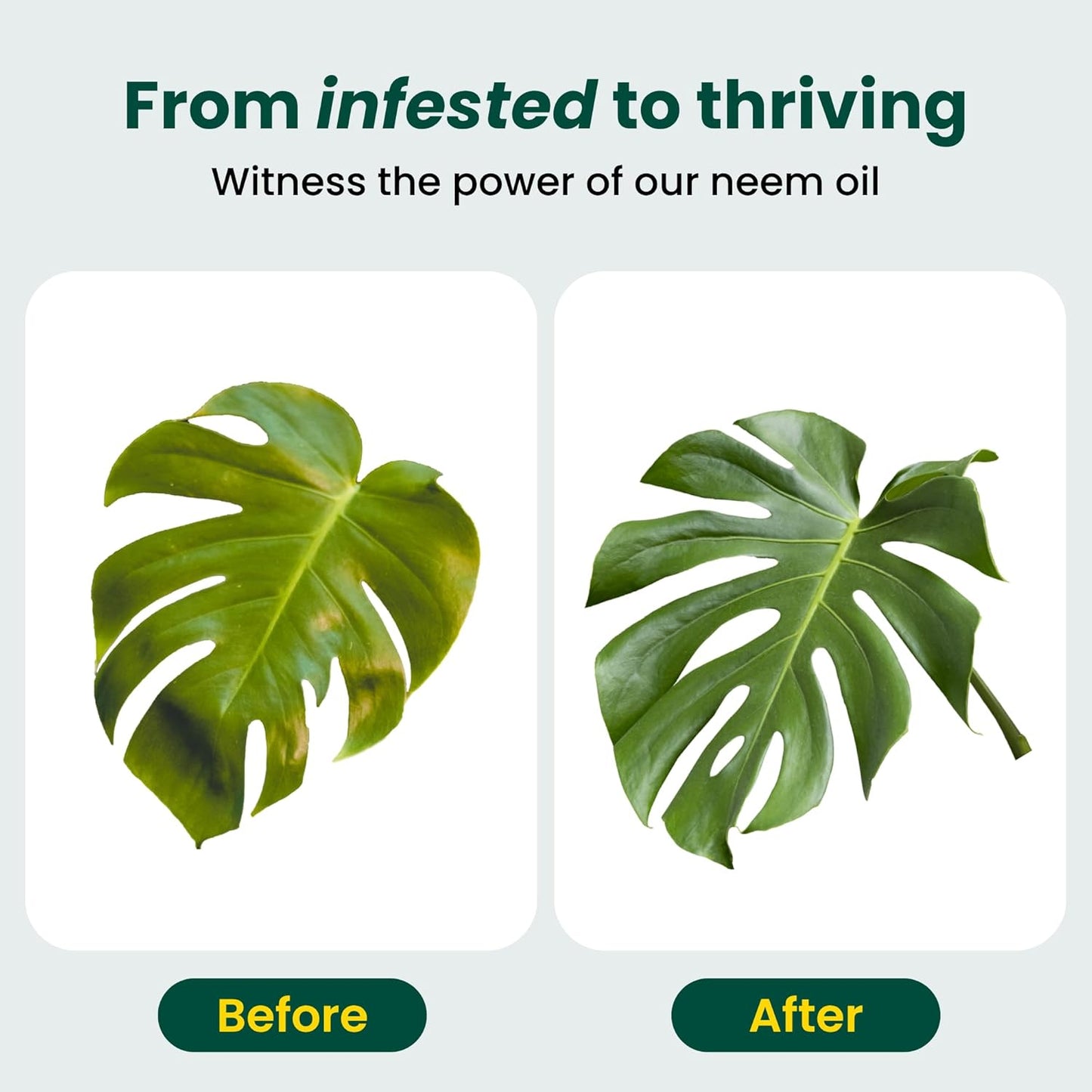 Neem Oil for Plants by [Brand Name] - Natural Leaf Shine Spray for Indoor & Outdoor Gardens, 480 fl oz