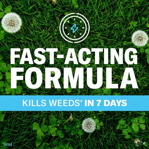 BioAdvanced Lawn Weed Killer - Season Long Concentrate, 32oz | Effective Weed Control for Healthy Lawns