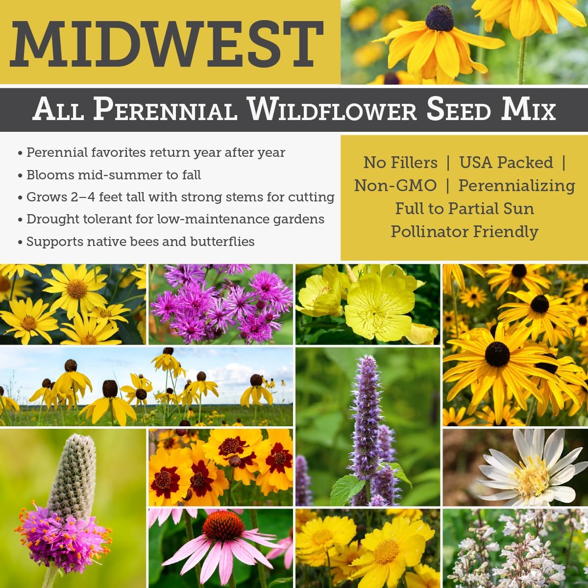Willard & May Wildflower Seed Mix - 25,000+ Bulk Seeds | 18 Varieties, Pollinator Friendly, Easy Sow