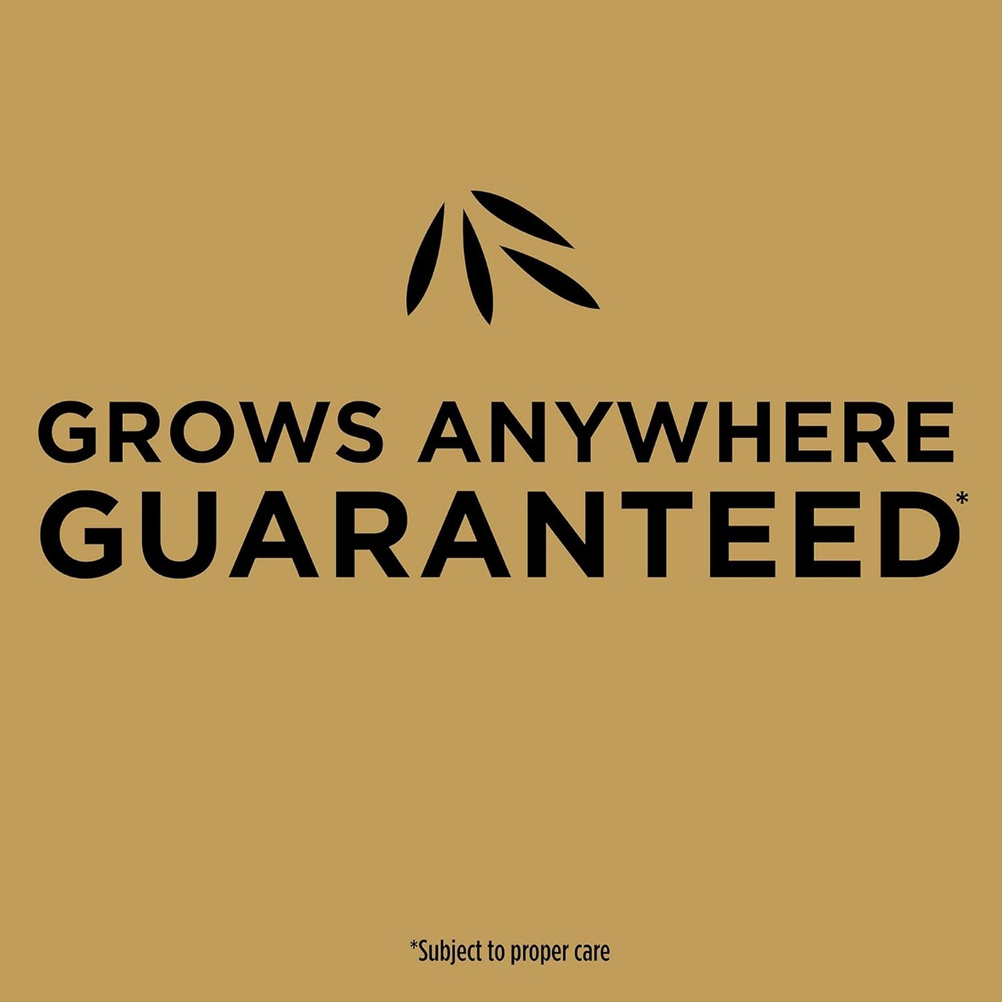 Scotts EZ Seed Patch & Repair - Sun and Shade Grass Seed with Fertilizer for Lawn Repair | Covers 85 sq. ft., 3.75 lb.