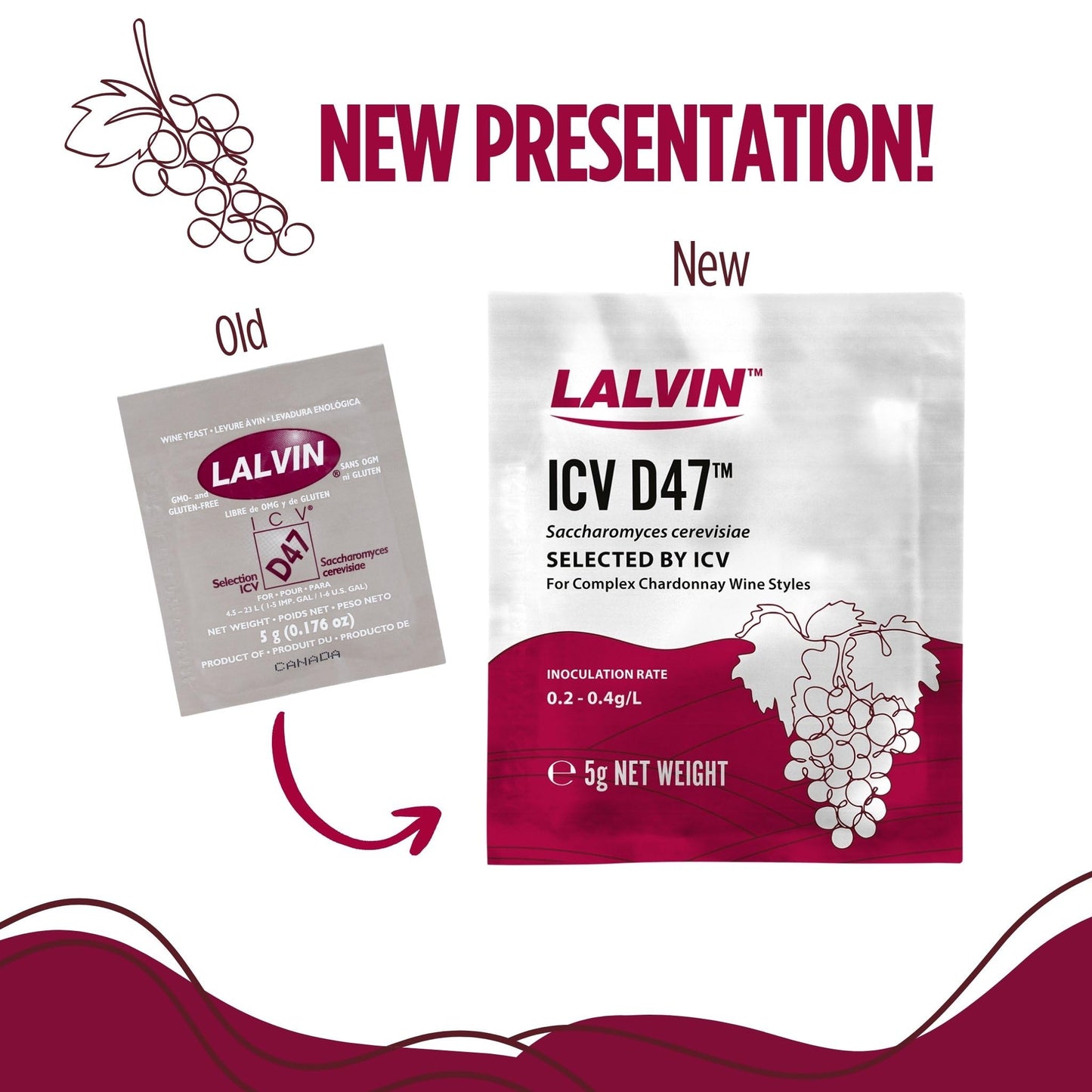 Lalvin D47 Wine Yeast (10 Pack) - Make Wine Cider Mead Kombucha At Home - 5 g Sachets - Saccharomyces cerevisiae - Sold by CAPYBARA Distributors Inc.
