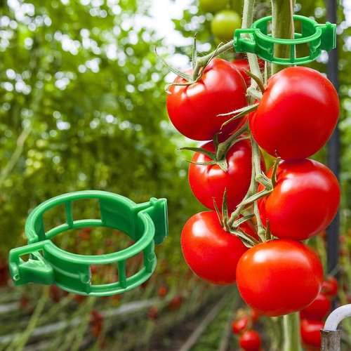 Dalzom® Tomato Clips - 300 Pcs Plastic Trellis Support for Healthy Vegetable Growth | Green