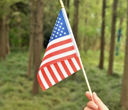 Ckexin 25Pack Small American Flag Mini Usa Flag On Stick Handheld Us Flag For July 4th Decoration