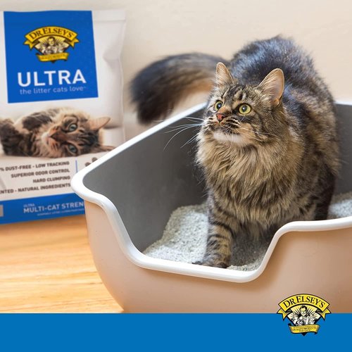 Dr. Elsey's Clumping Cat Litter - Ultra Unscented Formula | 40 lb. Bag for Odor Control
