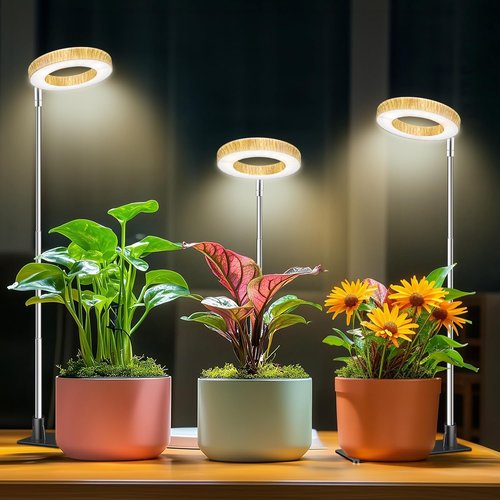 Aokrean Grow Light - 48 LEDs Full Spectrum Indoor Plant Light | Height Adjustable with Auto Timer & 5 Brightness Levels