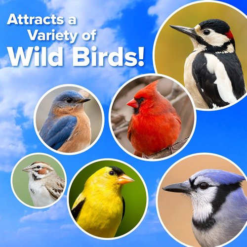 Blue Seal Suet Treat Bars for Wild Birds - No Mess Suet Feed for Woodpeckers & Cardinals | 8 oz Variety Pack of 6