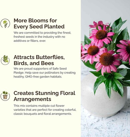 Eden Brothers Wildflower Mixed Seeds - Attract Pollinators | 1/4 lb, 120,000+ Seeds, Plant in Spring or Fall