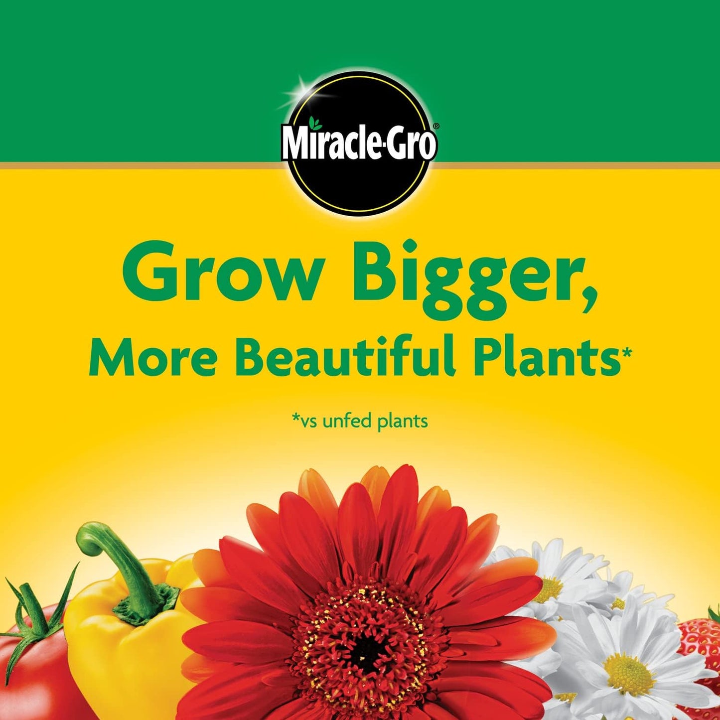 Miracle-Gro Water Soluble Plant Food - All-Purpose Fertilizer for Indoor & Outdoor Plants | 5 lb Bag