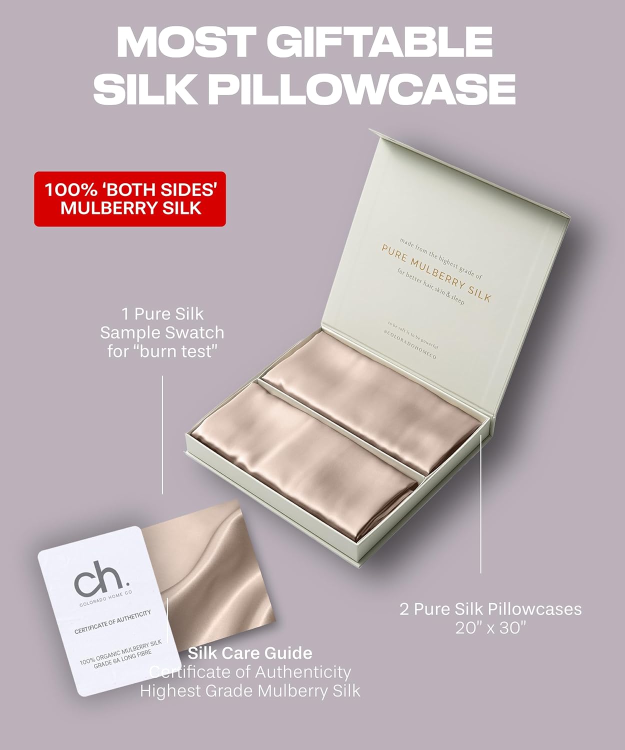 SUNDAYSILKS™ Silk Pillowcases 2 Pack - 22 Momme 100% Pure Mulberry Silk | Zippered Standard, Queen, King Size [Nude Champagne]