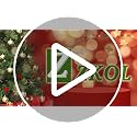Christmas Vacation Flannel Blanket 50x60 Inches with Family & Tree Design - Zzkol