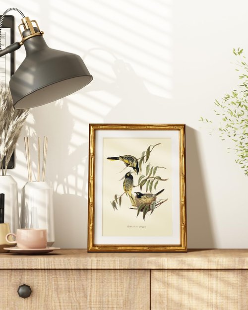HUARCEY Antique Bird Botanical Wall Art - Classic Gold Framed Canvas Illustration 11x14