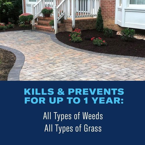 BioAdvanced 365 Weed & Grass Killer Spray Concentrate - Kills Weeds for Up to 12 Months - 28 fl oz Bottle