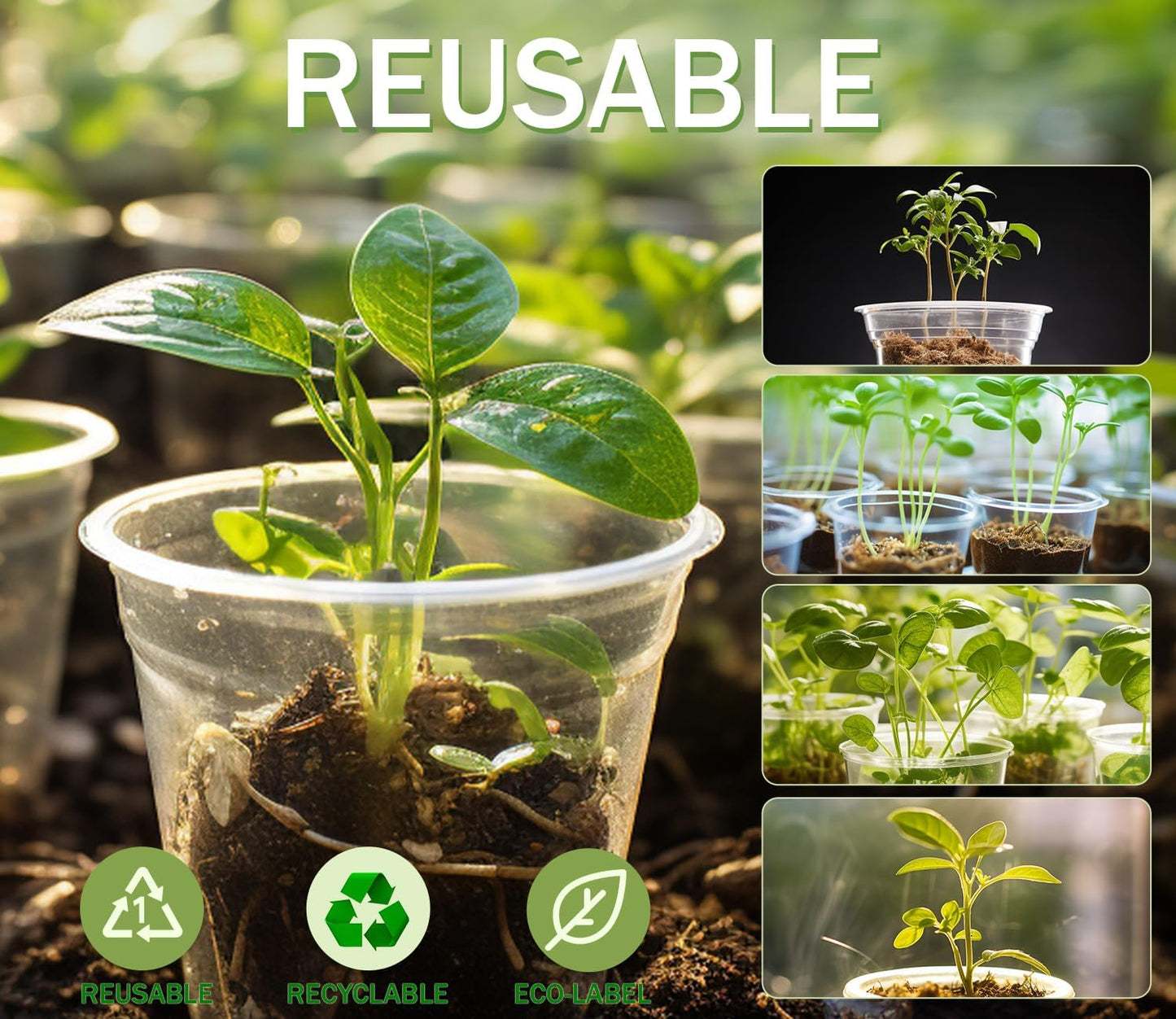 Skiennix Clear Nursery Pots - 30 Pack Plastic Seedling Pots with Drainage Holes | 3.5/4/5 Inch