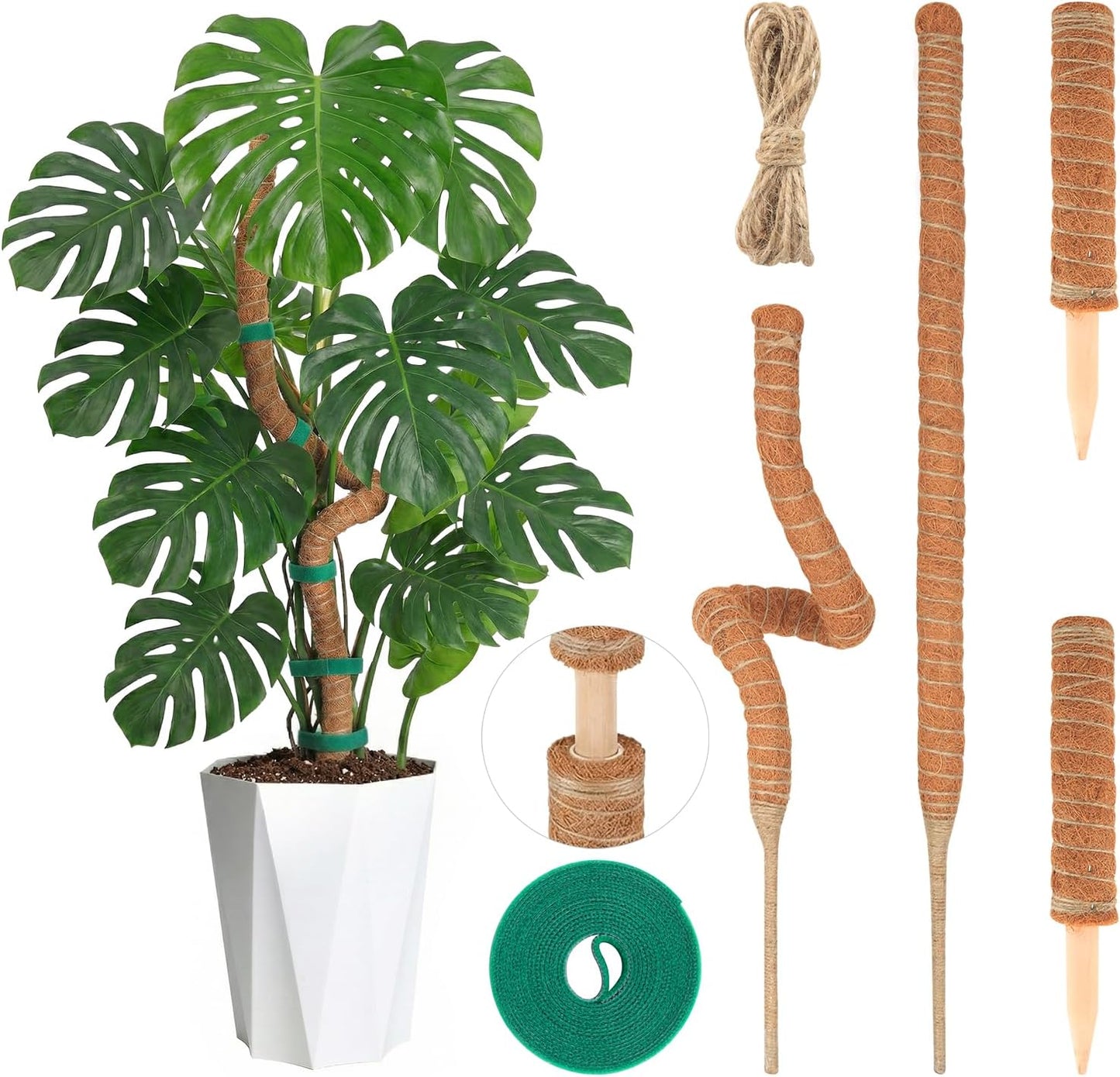Skiennix Moss Pole Monstera Plant Support - Two 28" Bendable & Two 12" Stackable Coir Poles | Indoor Trellis Accessories