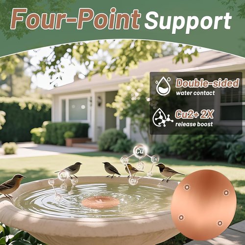 99.99% Pure Copper Bird Bath Purification Disk - Set of 2 | Reinforced 0.6mm Thick Design for All-Season Clean Water