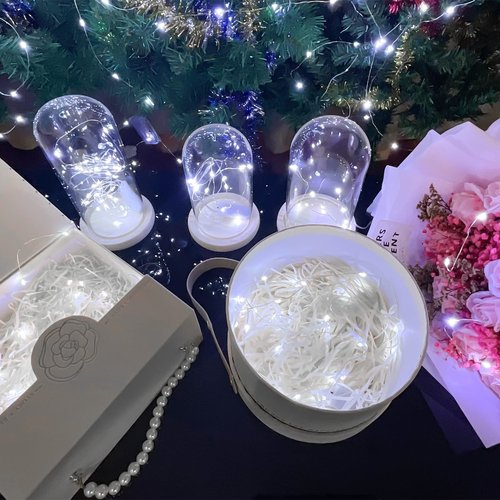 Etinga 10 Pack Fairy Lights Battery Operated String Lights, 10 LED on 3.3ft Silvery Copper Wire，for Flowers Gift Box Wedding Party Christmas Decoration (10 Pack, Cool White)