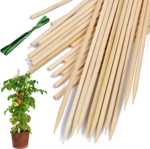 HAINANSTRY Bamboo Plant Stakes - Natural Wood Supports for Potted Plants | 18 Inches, 25 Pack