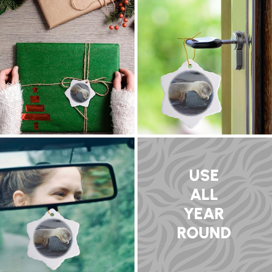 Galapagos Sea Lion Snowflake Ornament - 3DRose Ecuador Santiago Island Decor