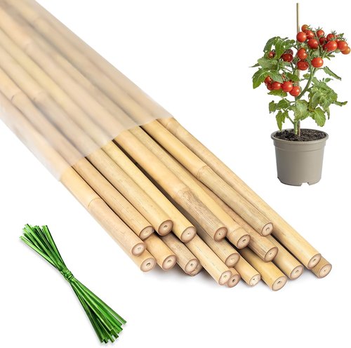 HAINANSTRY Bamboo Plant Stakes - 18 Inch Support Sticks for Indoor & Outdoor Gardening | 20 Pack