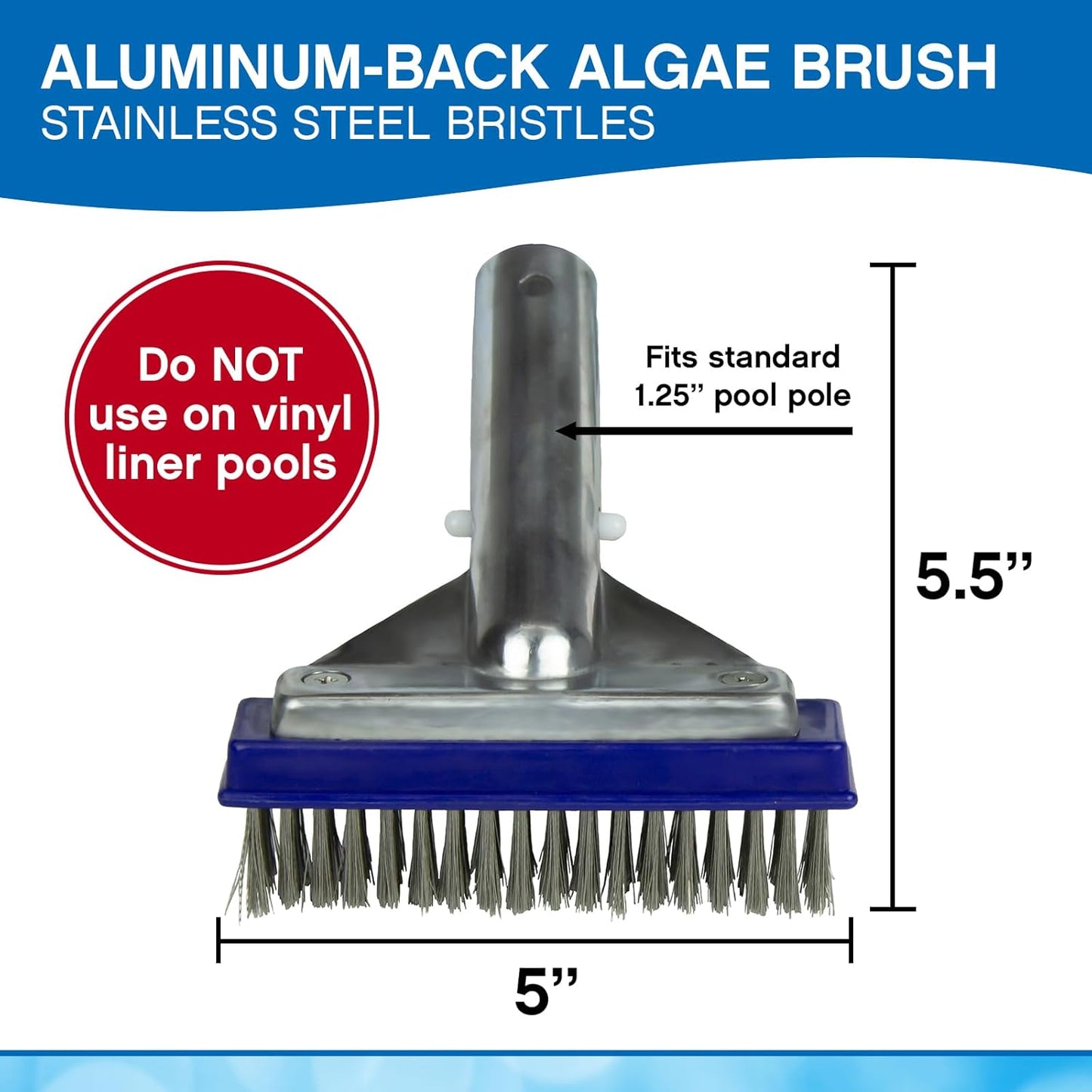 Poolmaster 5-Inch Stainless Steel Pool Algae Brush - Heavy-Duty Aluminum Back for Gunite Pools & Spas