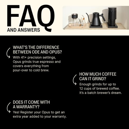 Fellow Opus Conical Burr Coffee Grinder - Espresso Grinder with 41 Settings for Espresso, Drip, French Press, & Cold Brew - Matte White