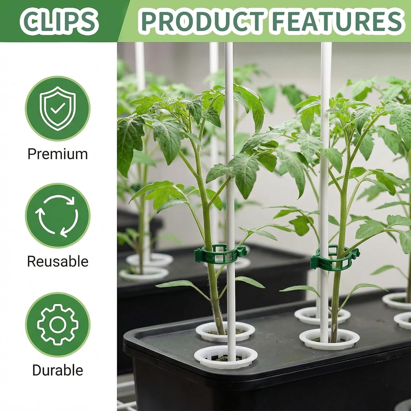 Skiennix 60Pcs Plant Support Clips - Durable Plastic Clips for Securing Tomato Vines & Climbing Plants