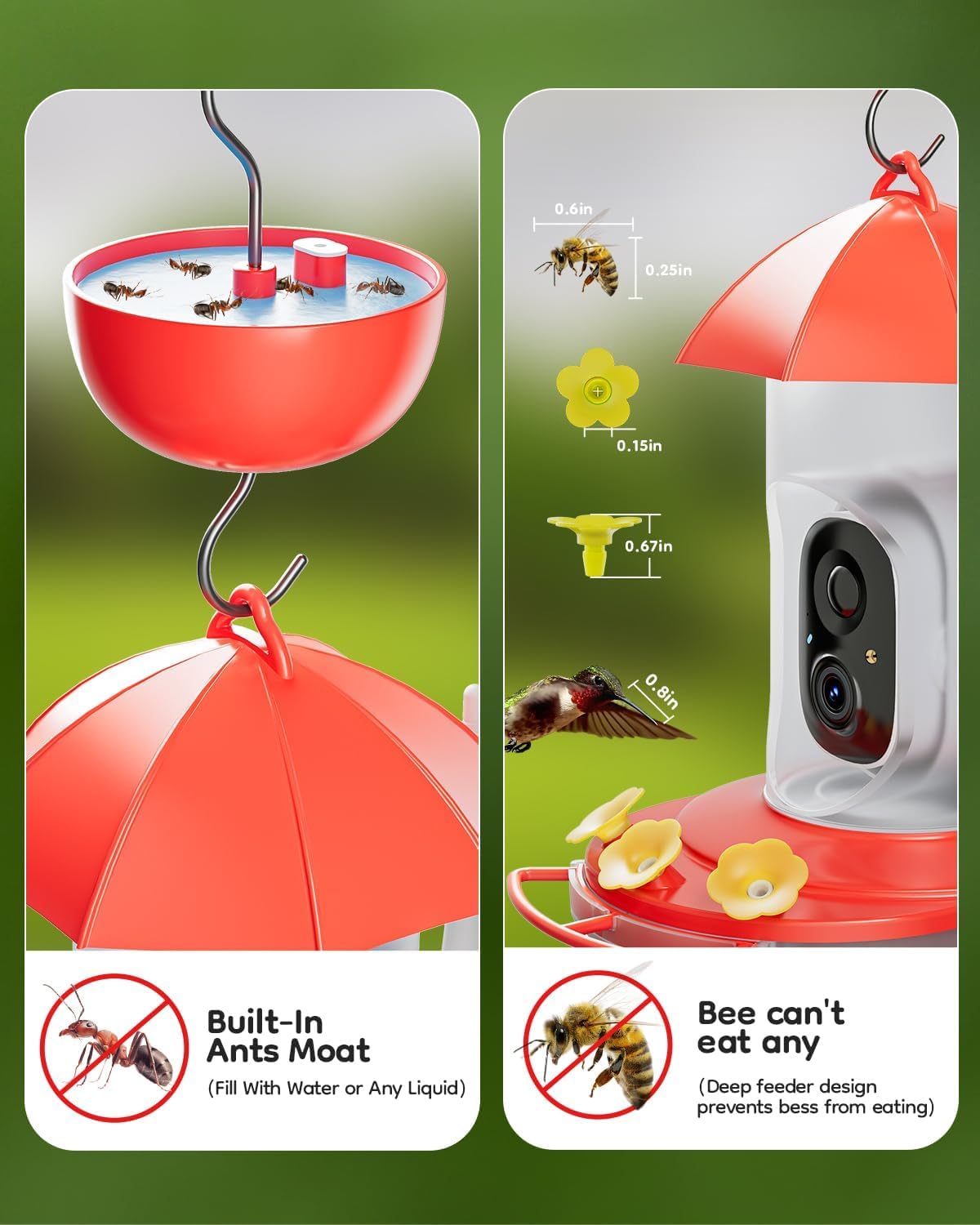 LongPlus® Hummingbird Feeder - Solar Powered Smart Bird Camera with 2K Live Video & Ant Guard Base