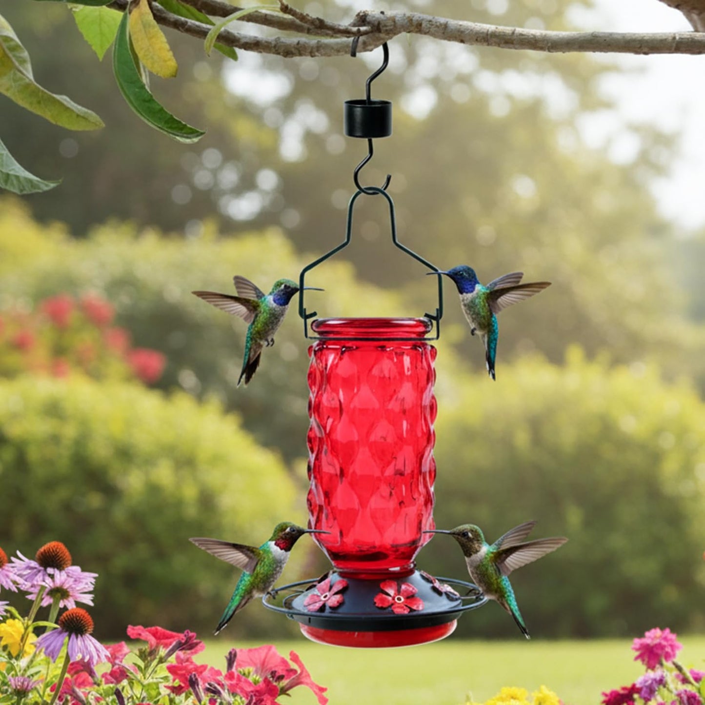 Skiennix Glass Hummingbird Feeder - 25 Oz Red Nectar Feeder with 5 Feeding Ports & Ant Moat | Ideal Garden Gift