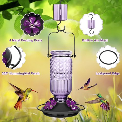 FEED GARDEN Glass Hummingbird Feeder - 16 Oz Outdoor Feeder with 4 Bee Guard Ports & Ant Moat | Purple, 2 Pack