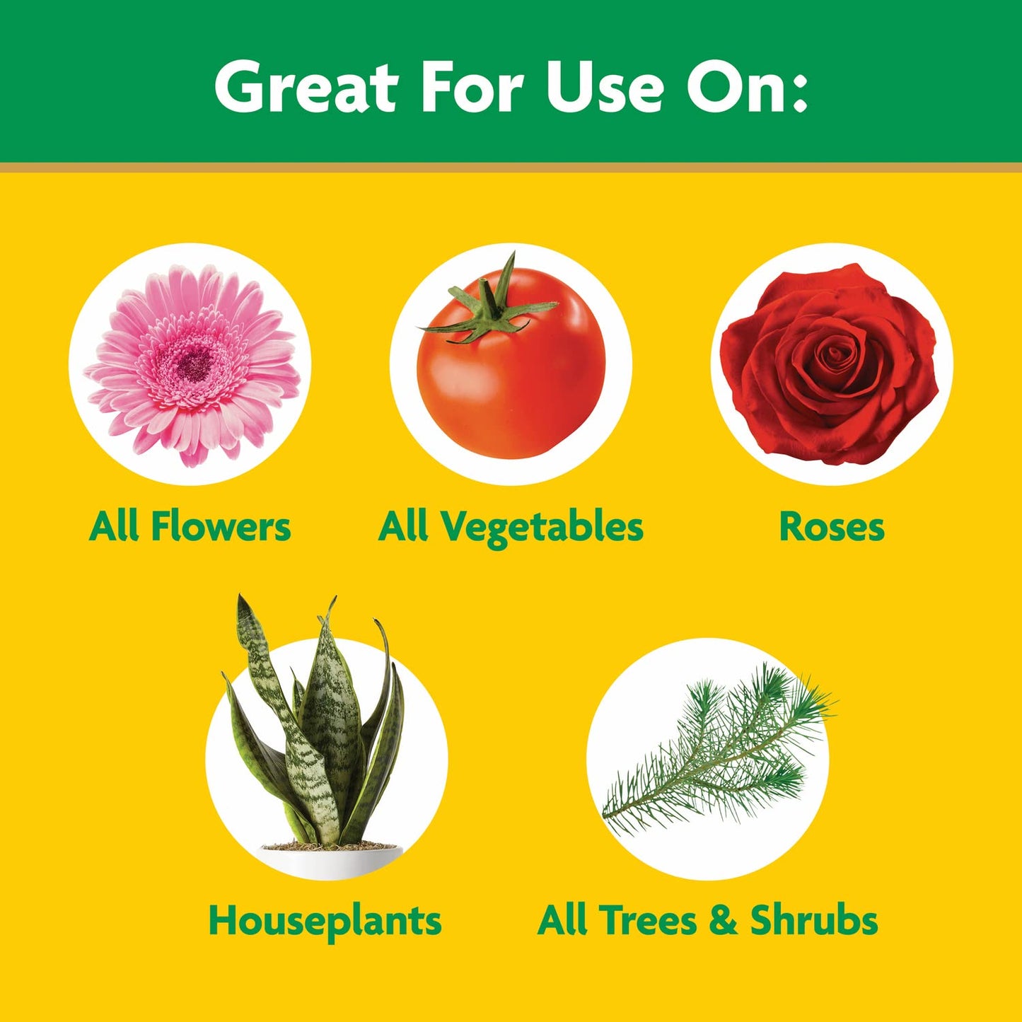 Miracle-Gro All-Purpose Plant Food - Water Soluble Fertilizer for Indoor & Outdoor Plants | 5.5 lb Bag