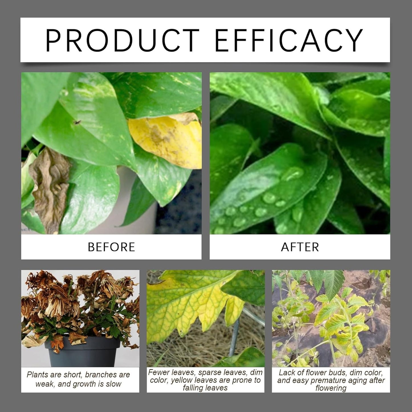 Soil Pro Activator - 200G Soil Activator for Plants | Boost Root Growth & Nutrient Uptake for Gardens, Lawns & Indoor Plants