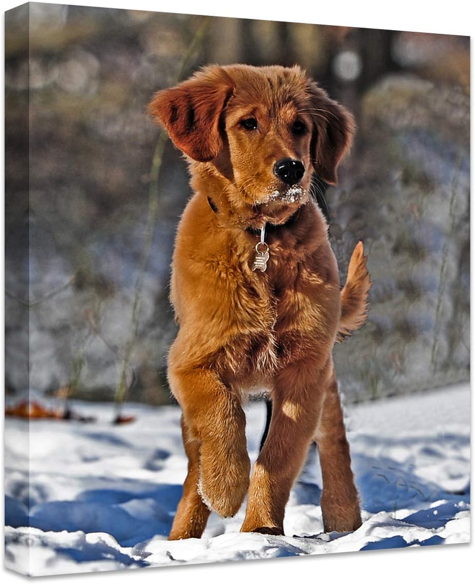 Personalized Canvas Print by [Brand Name] - Custom Photo Wall Art for Bedroom & Living Room | 16" W x 20" H