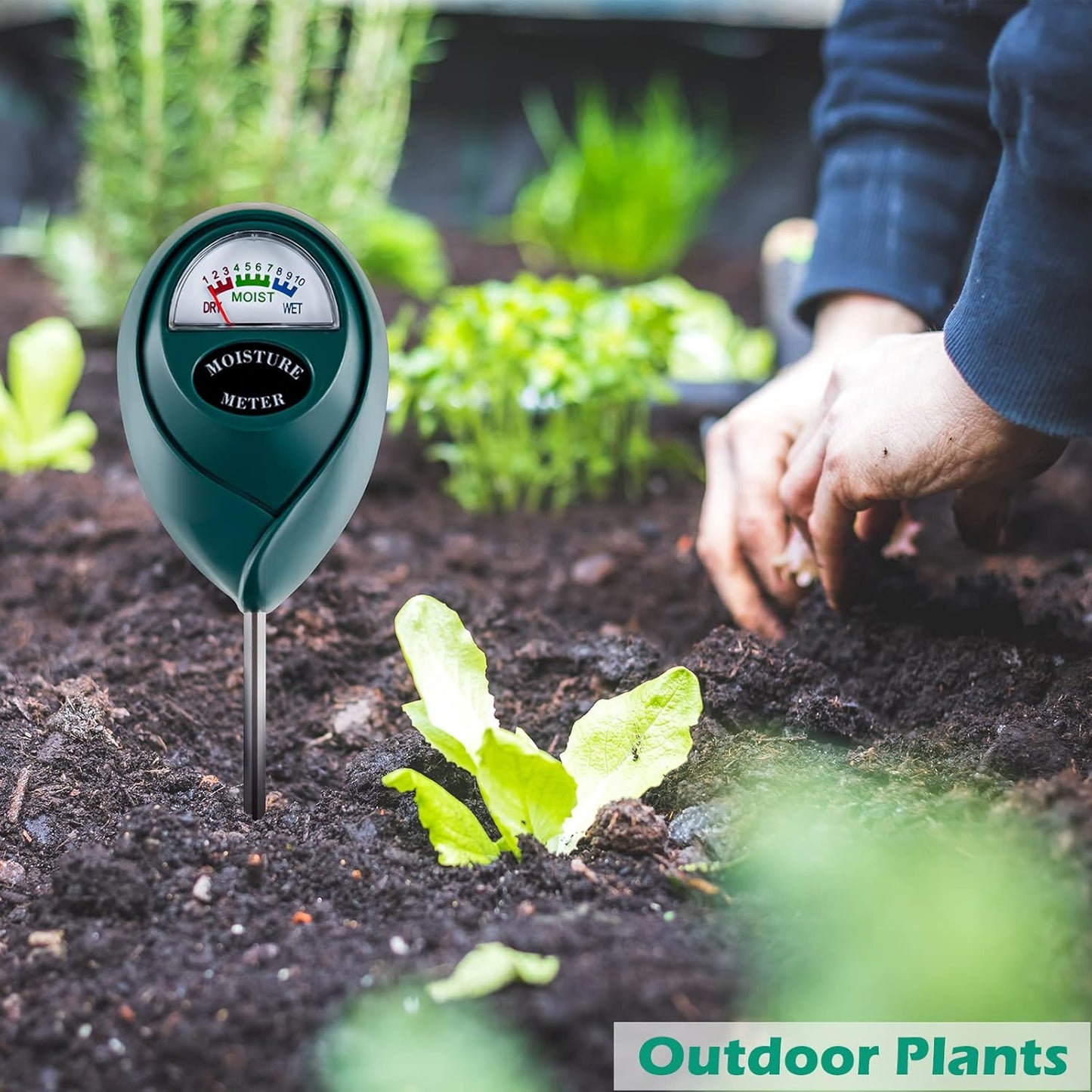 Skiennix Soil Moisture Meter - Accurate Plant Watering Tool for Indoor & Outdoor Use | No Batteries Needed (Green)