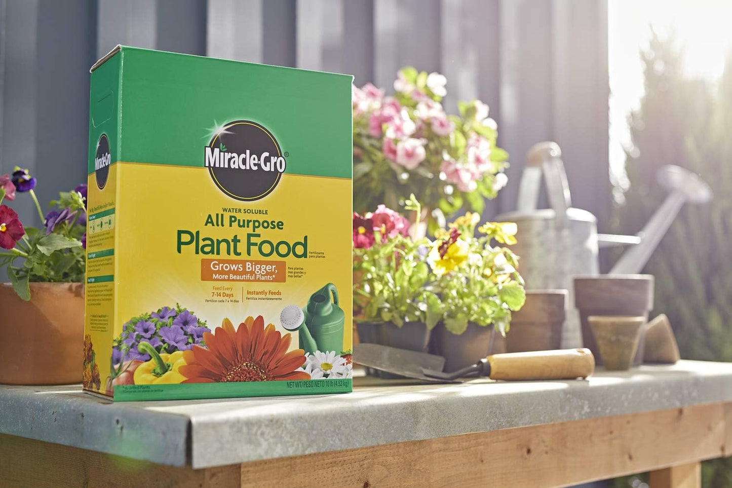 Miracle-Gro Water Soluble Plant Food - All-Purpose Fertilizer for Indoor & Outdoor Plants, 10 lbs (4-Pack)