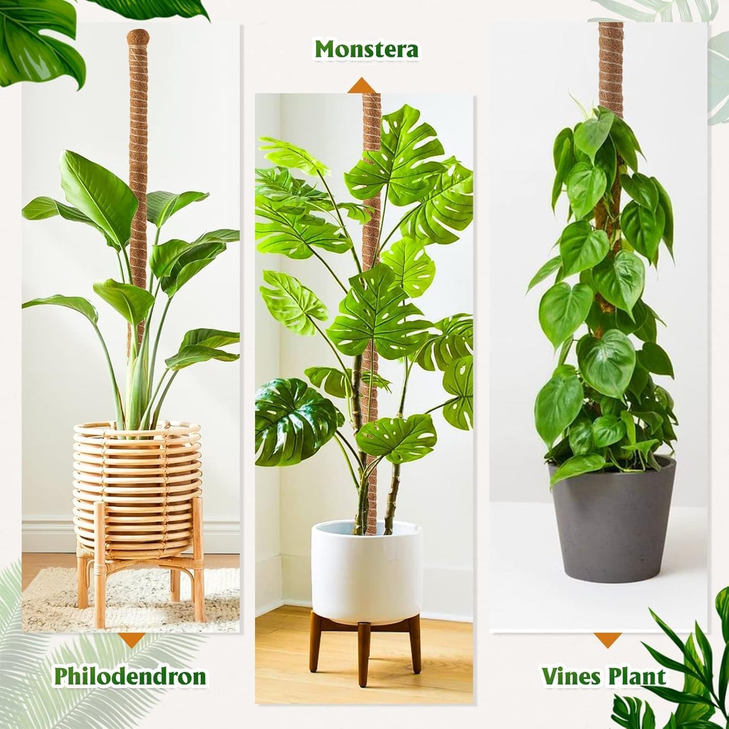Skiennix 2-Pack 63" Bendable Moss Poles - Ideal Support for Monstera & Climbing Plants