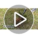 Stand Up Garden Weeder Tool with Long Bamboo Handle - Easy Root Removal